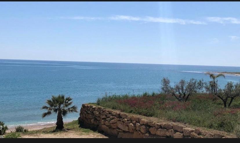 Photo of Others in Sciacca