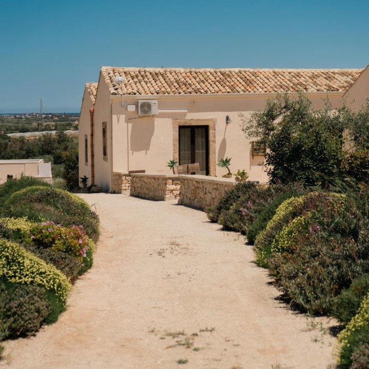 Photo of Others in Noto