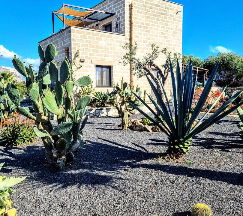 Photo of Others in Favignana