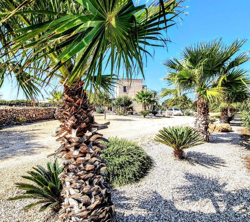 Photo of Others in Favignana