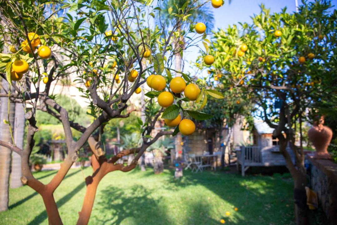 Photo of Others in Cefalu