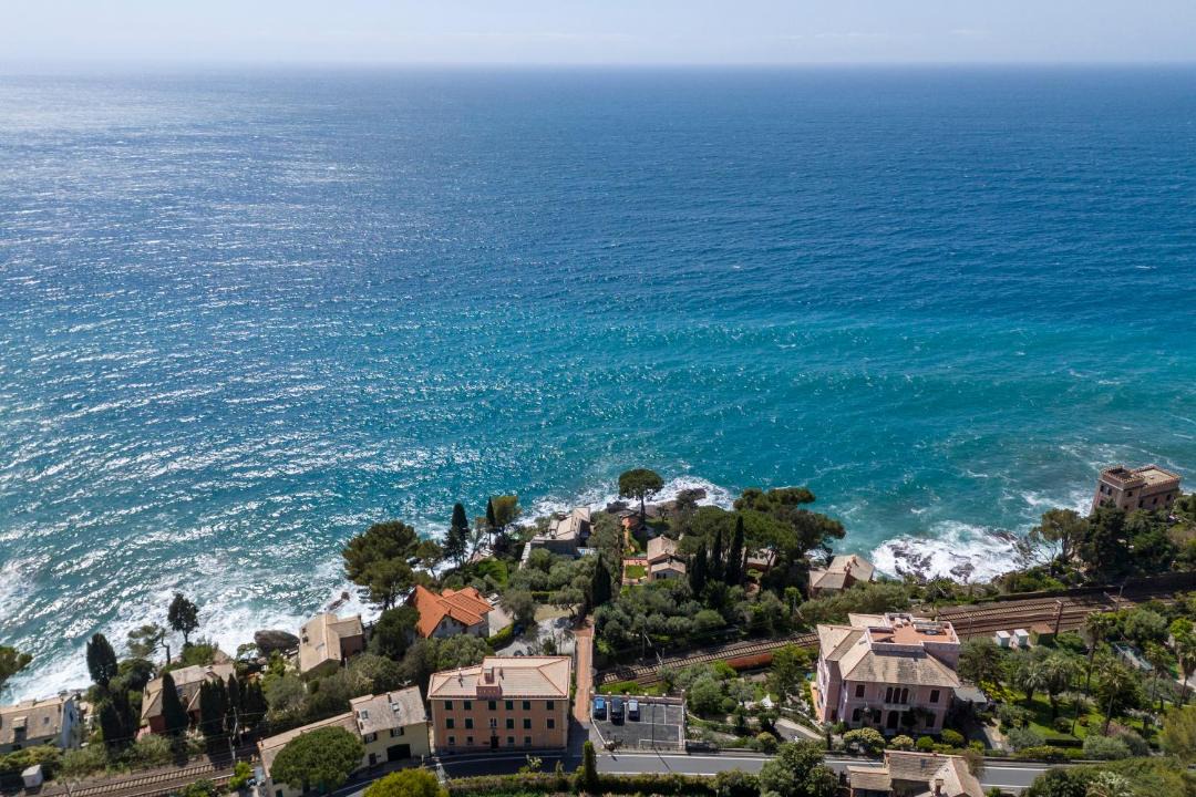 Photo of Others in Recco