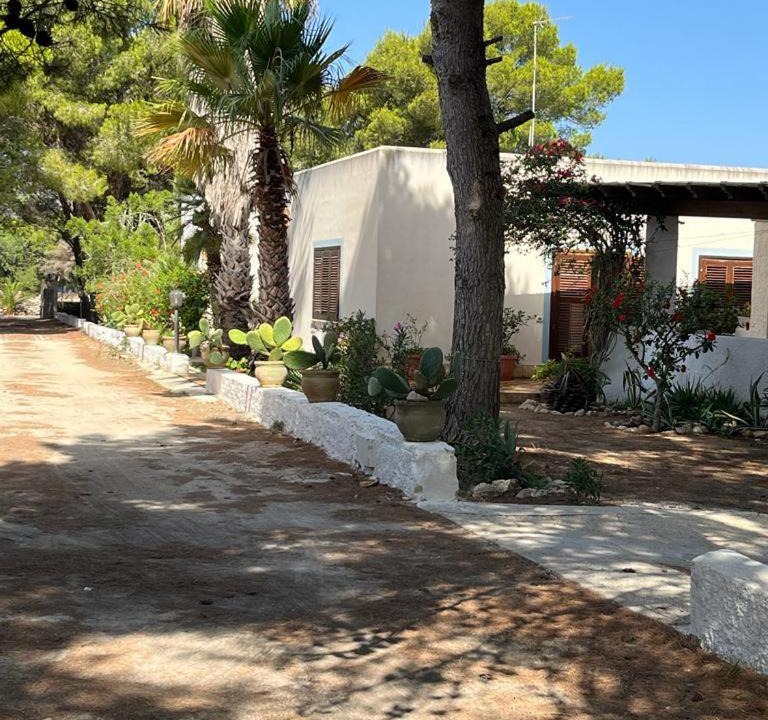 Photo of Others in Favignana