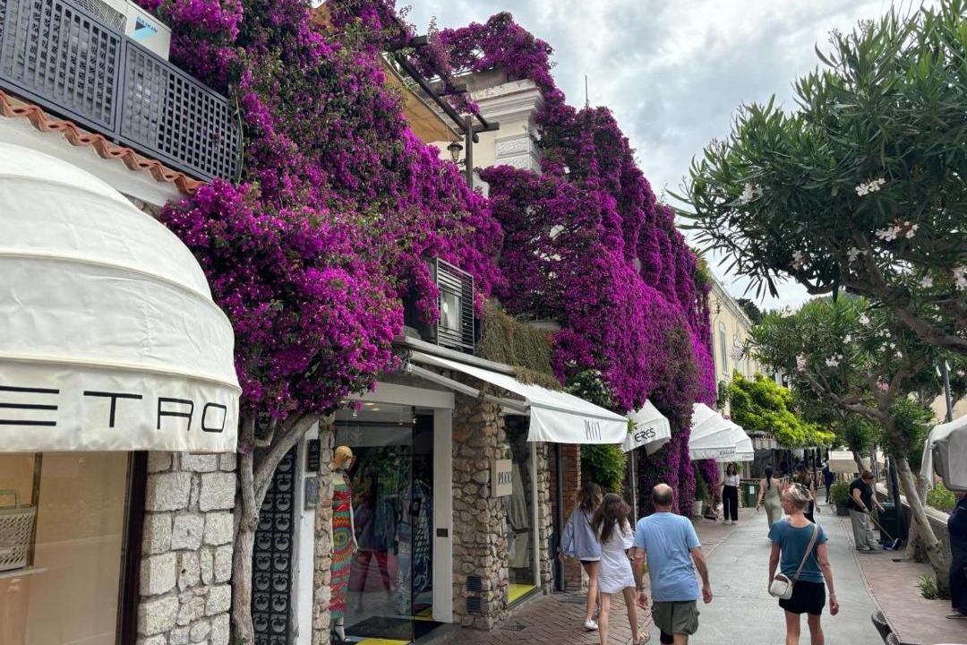 Photo of Others in Capri