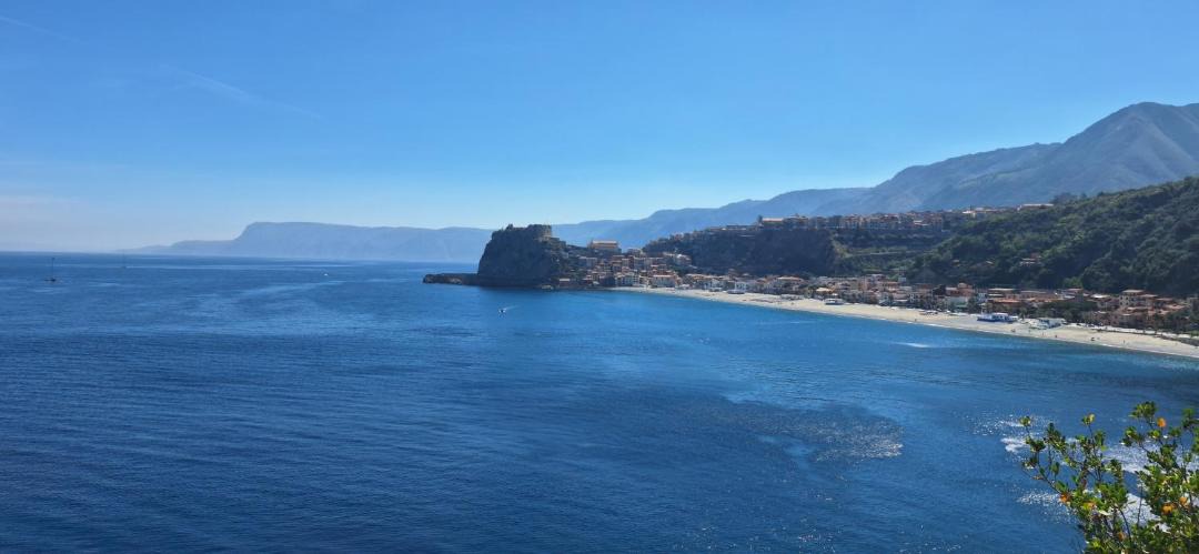 Photo of Others in Scilla