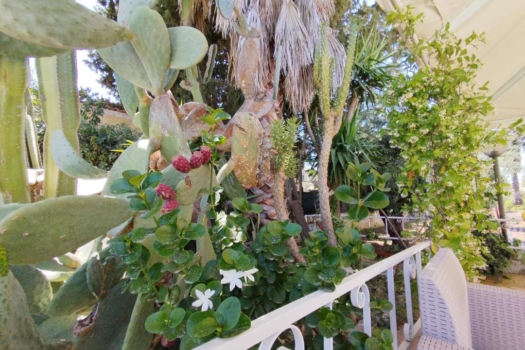Photo of Others in Floridia