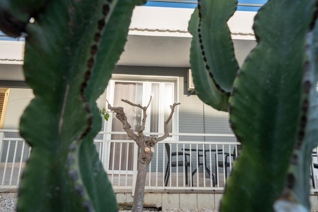 Photo of Others in San Leone