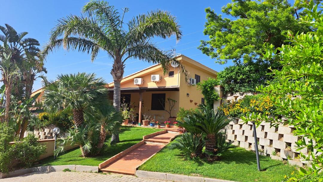 Photo of Others in Trabia
