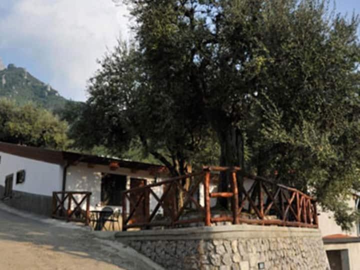Photo of Others in Pucara
