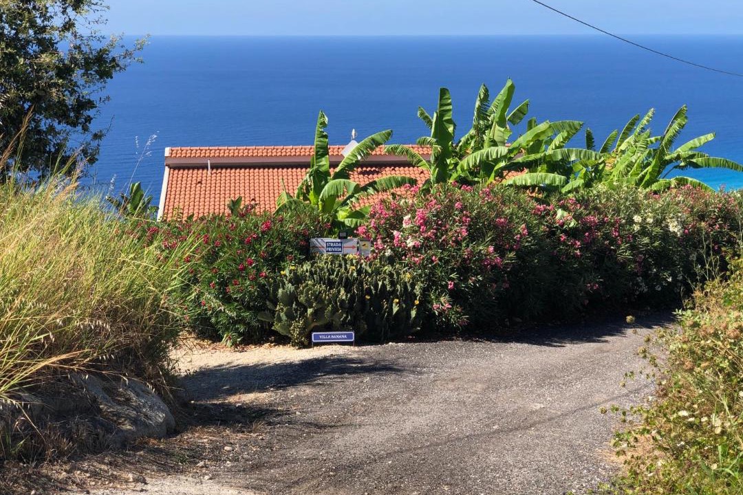Photo of Others in Parghelia