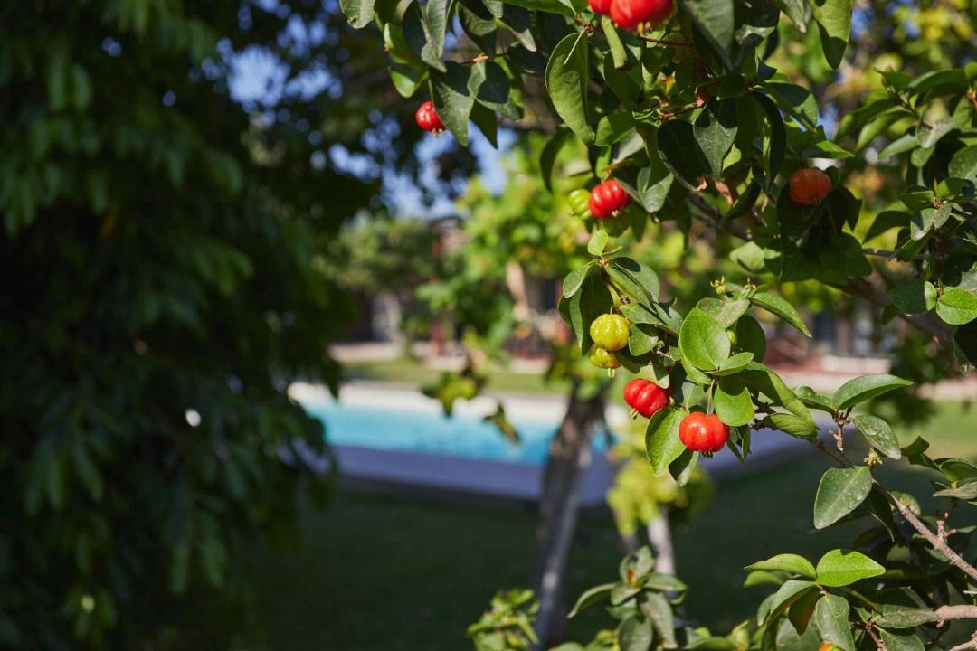 Photo of Outdoor in Noto Marina