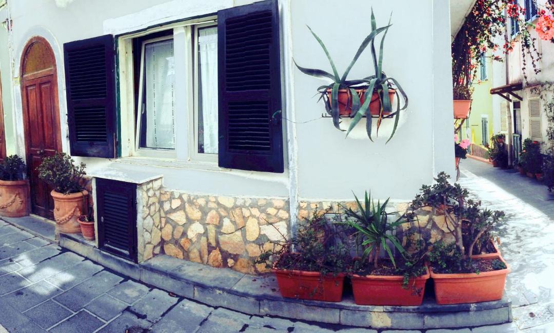 Photo of Others in Lacco Ameno