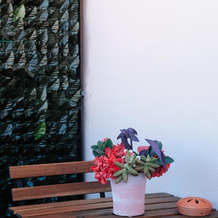 Photo of Others in Brolo
