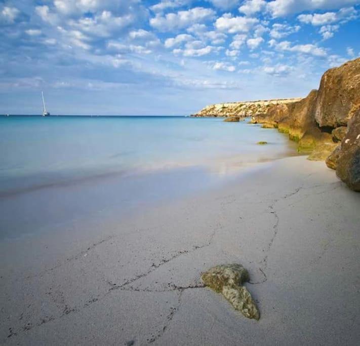 Photo of Others in Favignana