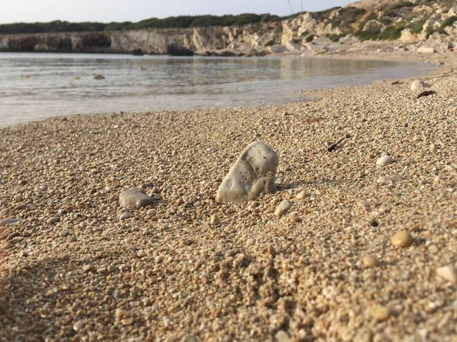 Photo of Others in Favignana