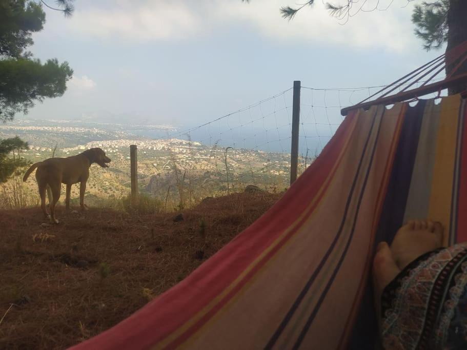 Photo of Others in Altavilla Milicia