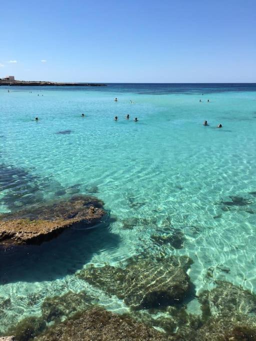 Photo of Others in Favignana