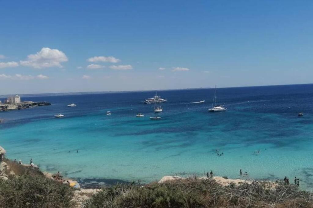 Photo of Others in Favignana