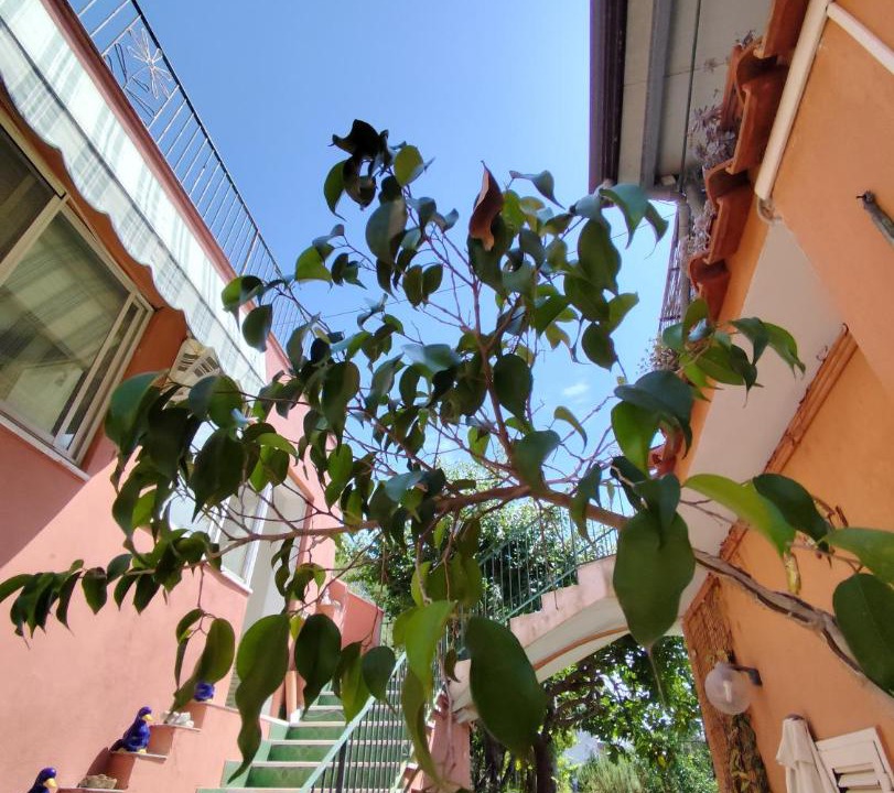 Photo of Others in Barano d'Ischia