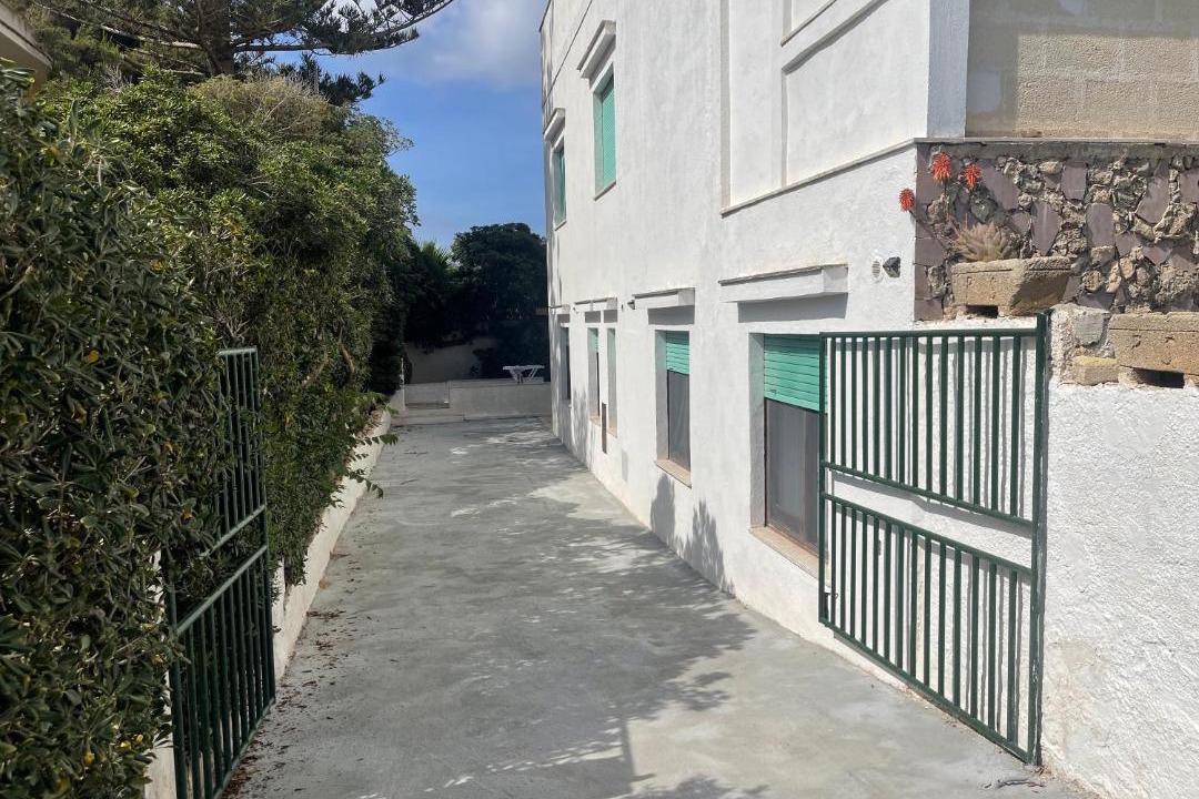 Photo of Others in Favignana