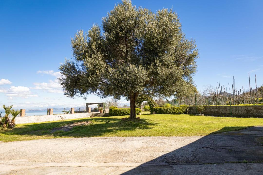 Photo of Others in Lacco Ameno
