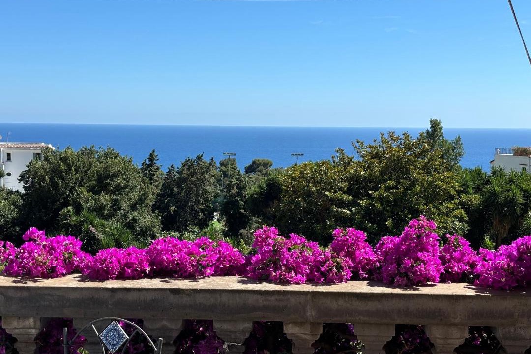 Photo of Patio Balcony in Capri