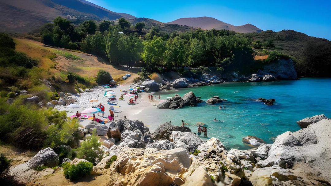 Photo of Others in Scopello