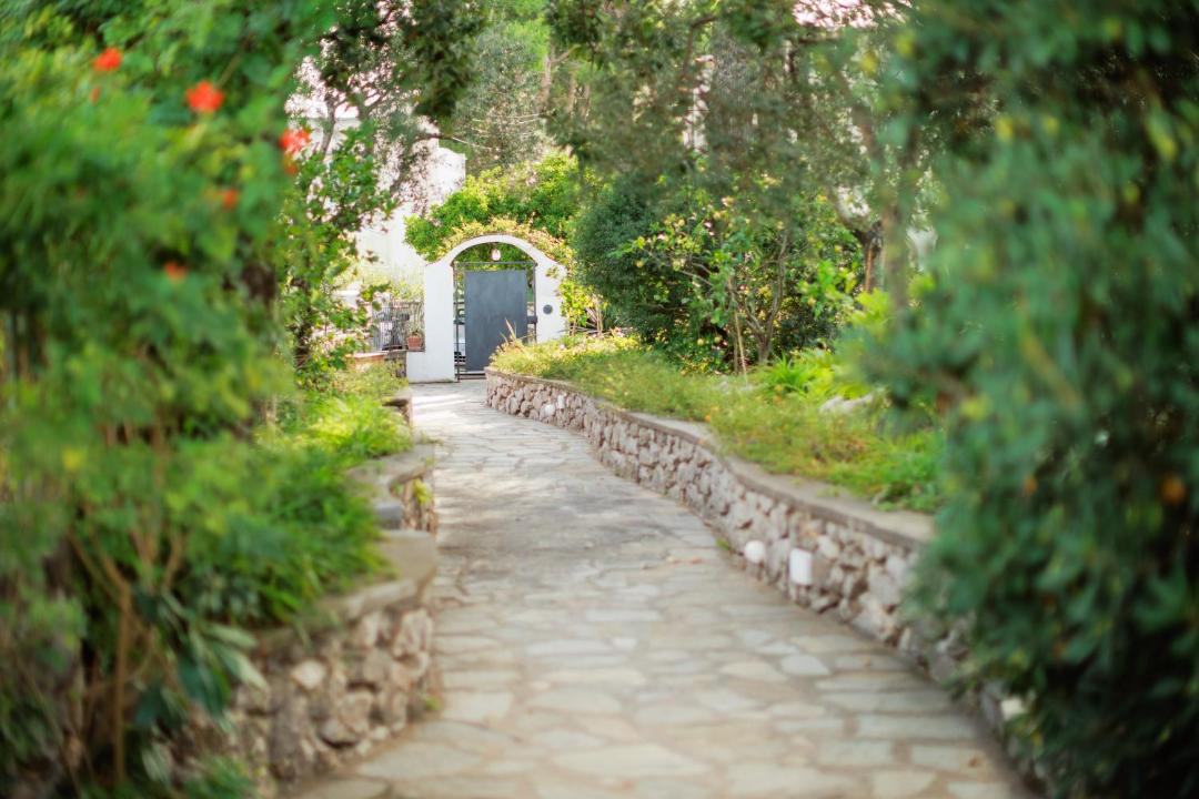 Photo of Others in Anacapri