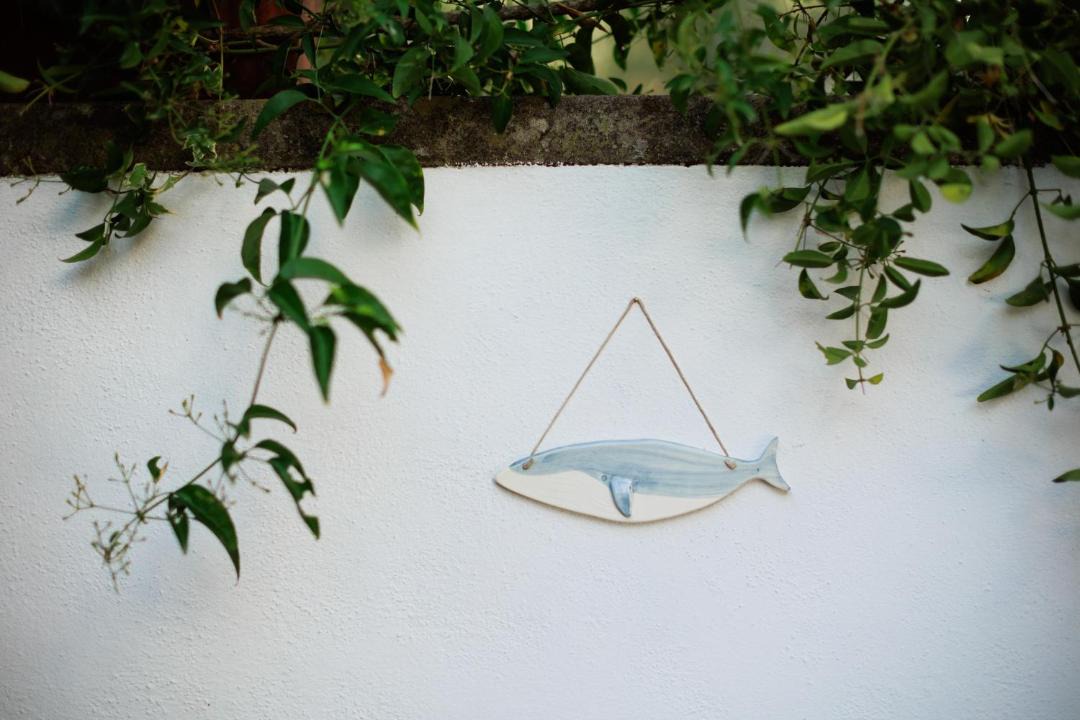 Photo of Others in Anacapri