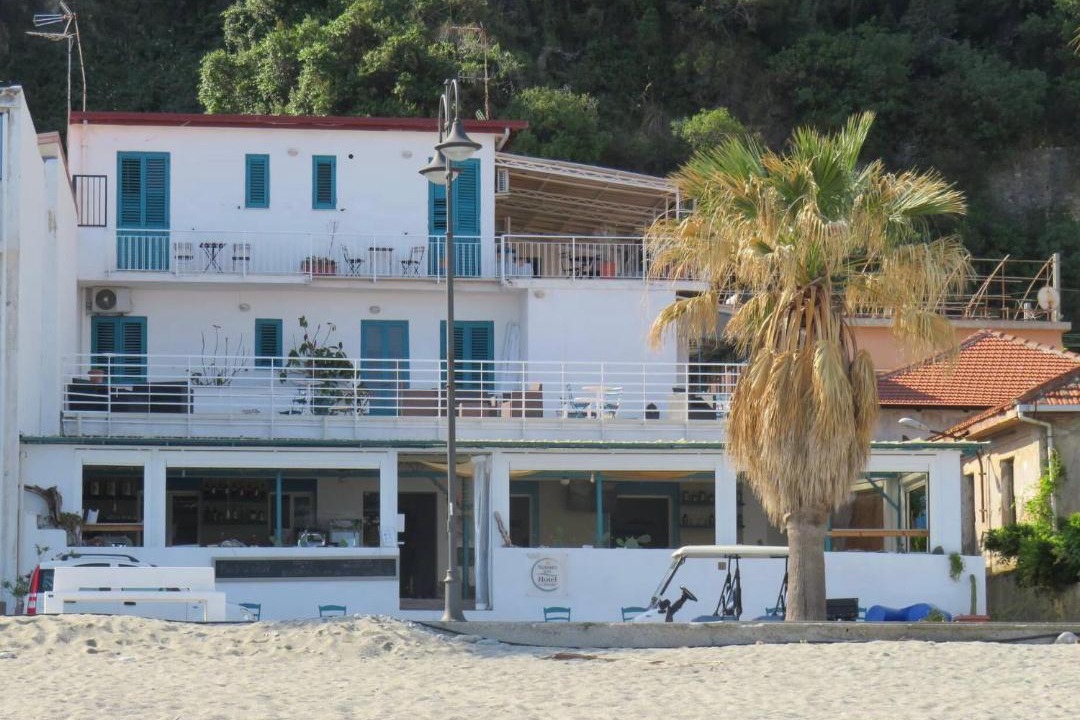 Photo of Others in Scilla