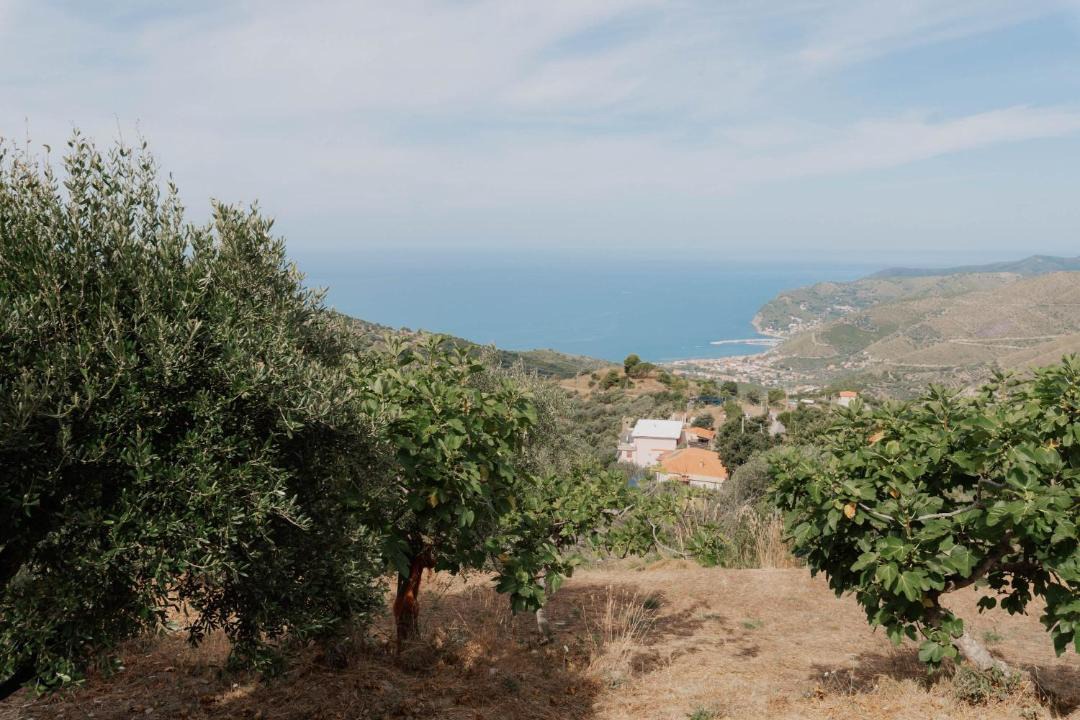 Photo of Others in San Mauro Cilento