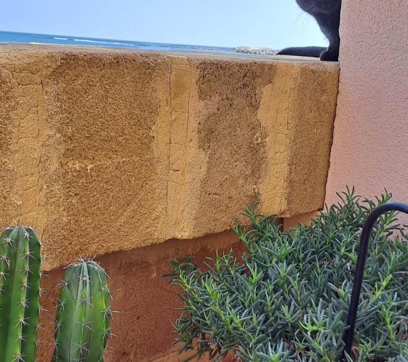 Photo of Others in Marzamemi