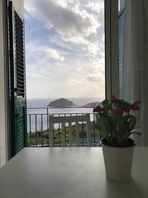 Photo of Others in Barano d'Ischia