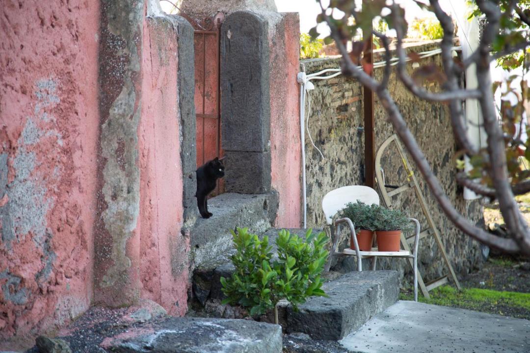 Photo of Others in Biancavilla