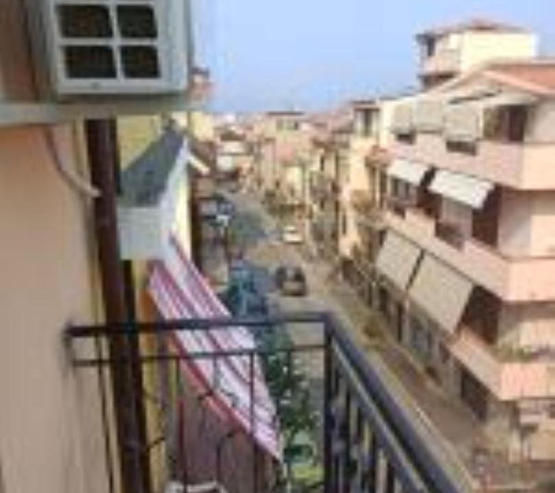 Photo of Others in Scilla