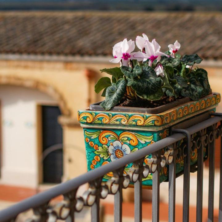 Photo of Others in Noto