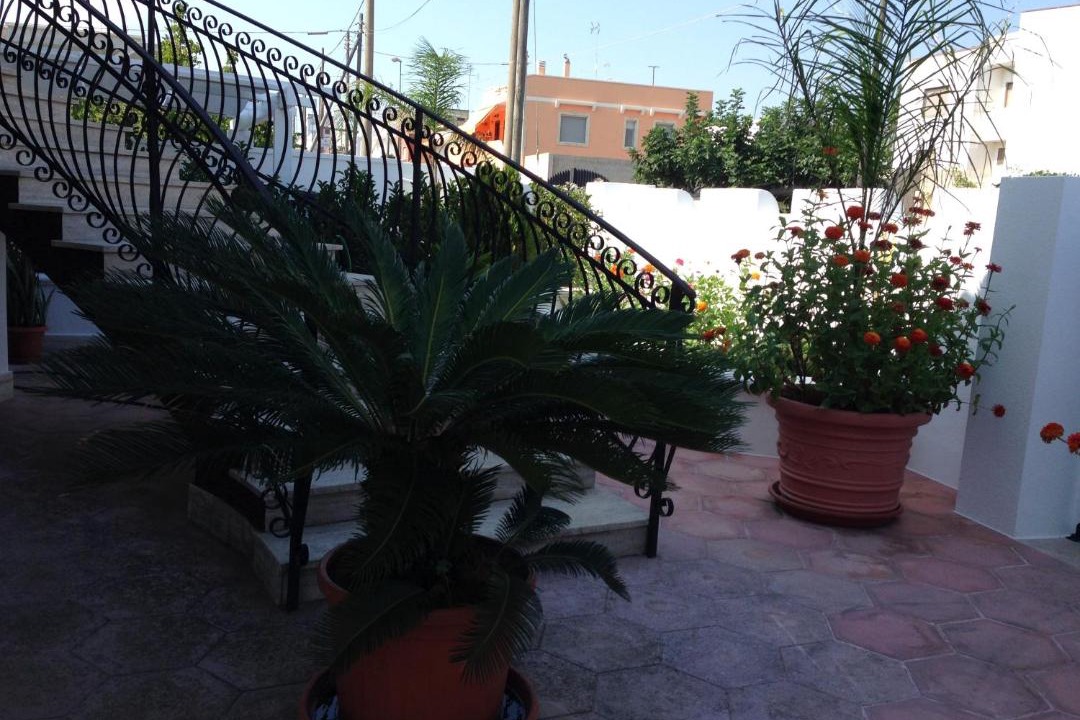 Photo of Others in Castrignano del Capo
