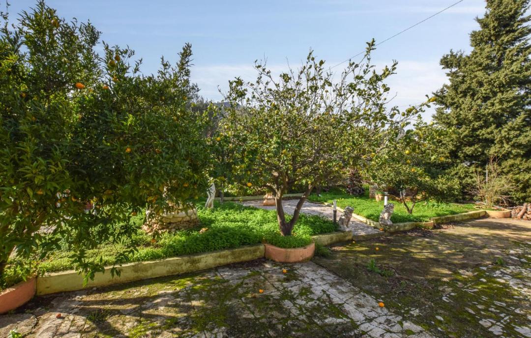 Photo of Outdoor in Altavilla Milicia