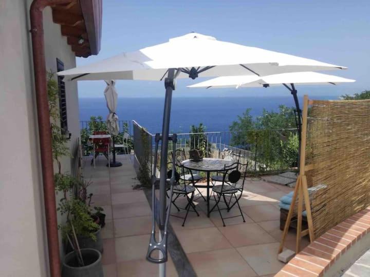 Photo of Patio Balcony in Palmi
