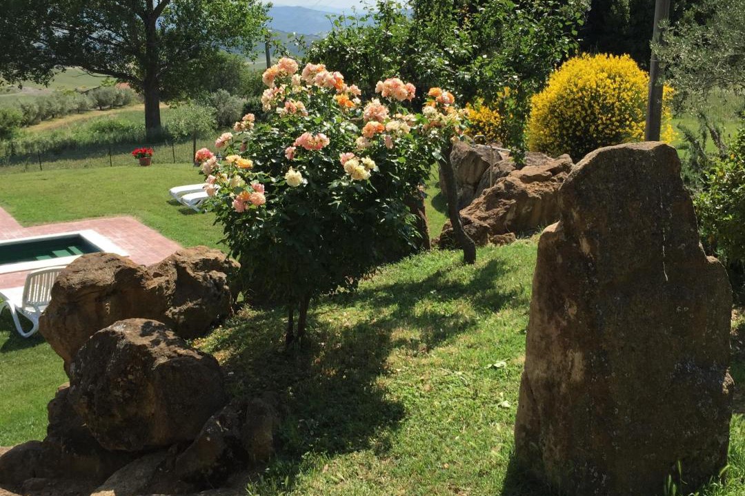 Photo of Others in Pienza