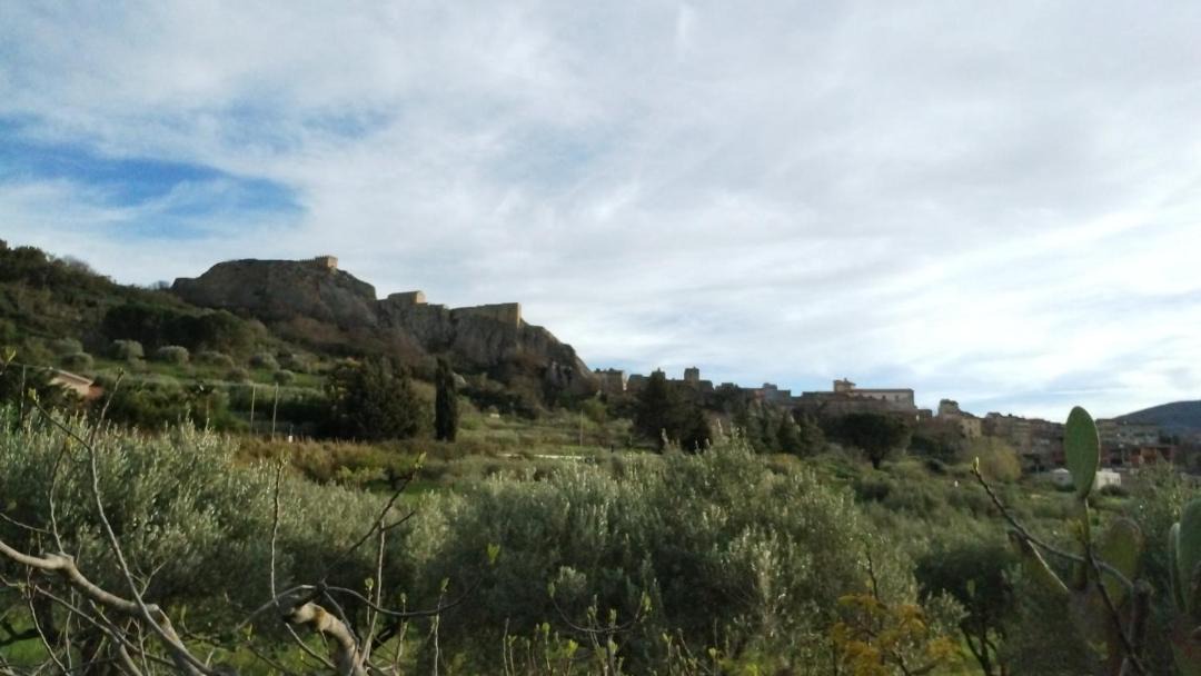 Photo of Others in Sperlinga