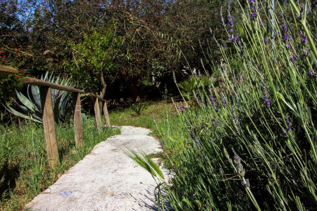 Photo of Others in Alcamo