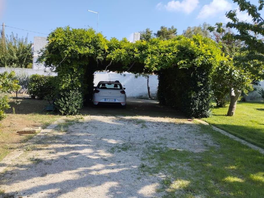 Photo of Others in Maruggio