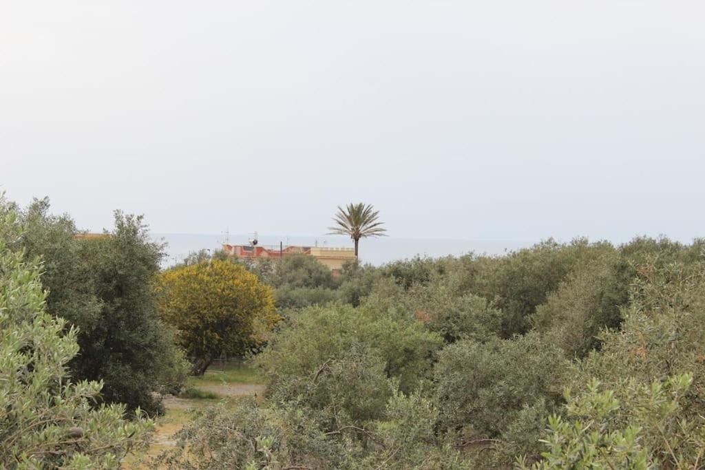 Photo of Outdoor in Isola delle Femmine