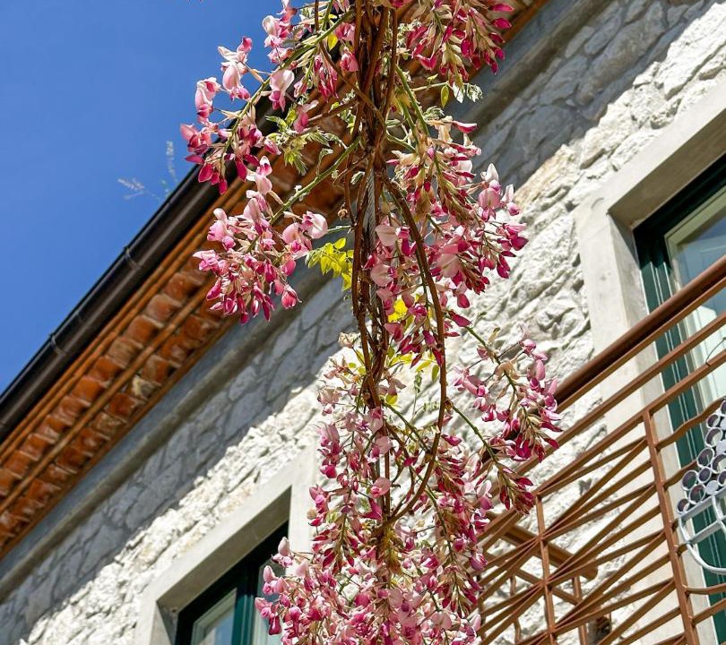 Photo of Others in Teggiano