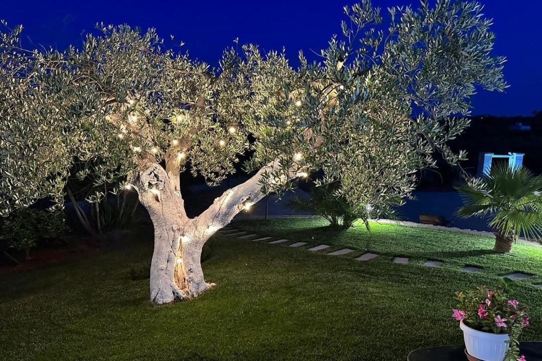 Photo of Others in Ostuni