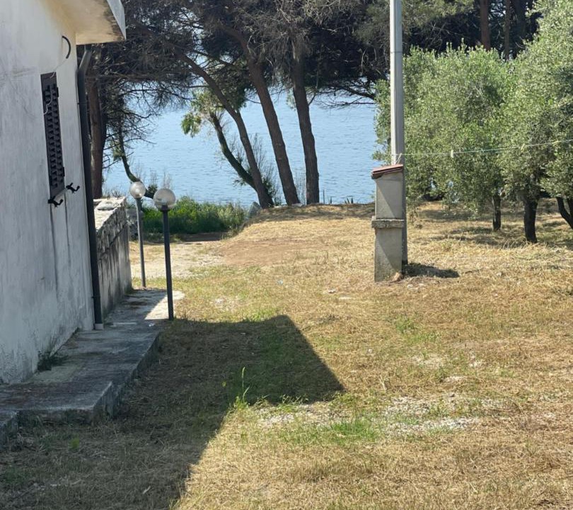 Photo of Others in Coccorino