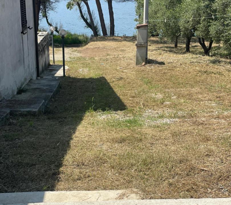 Photo of Others in Coccorino