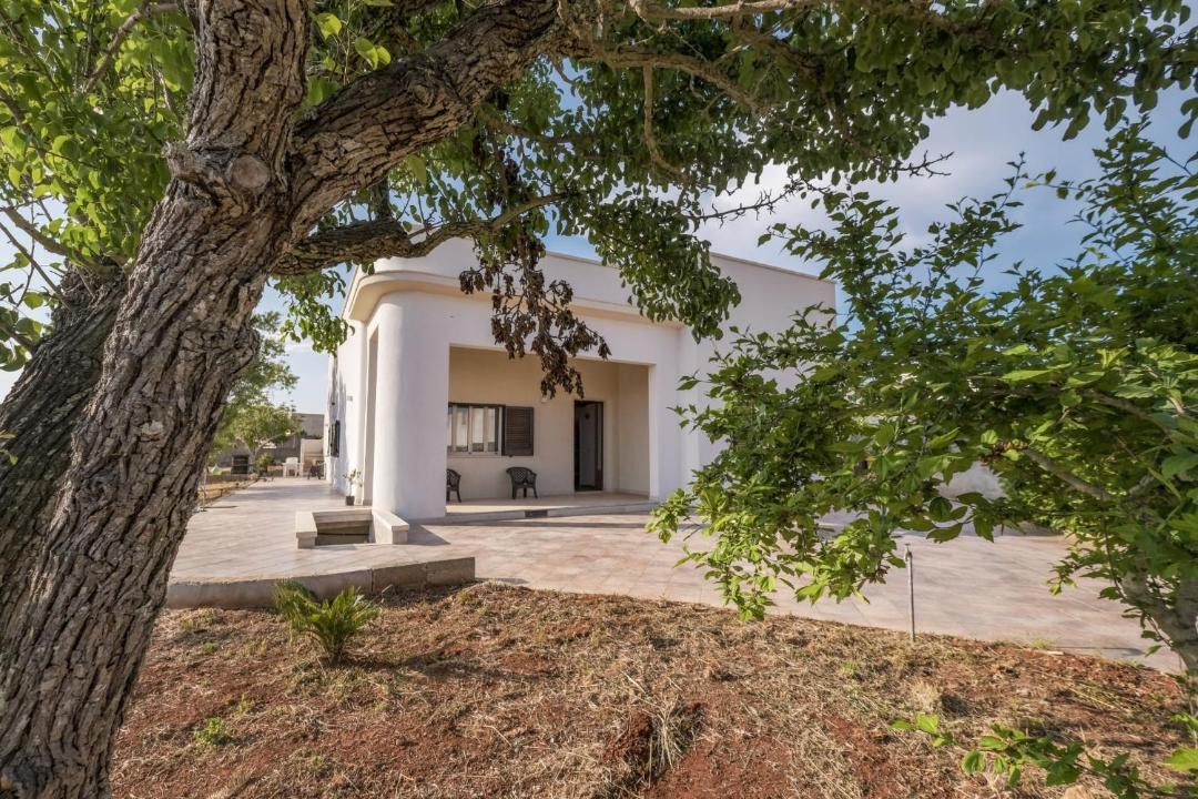 Photo of Others in Barbarano del Capo