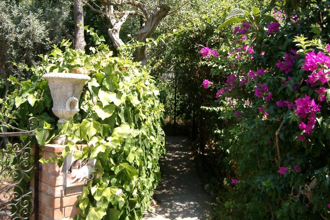 Photo of Others in Anacapri